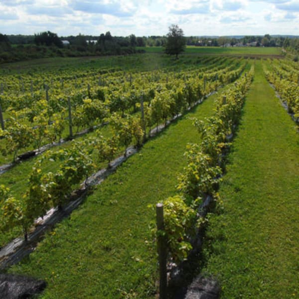 domaine_small_1