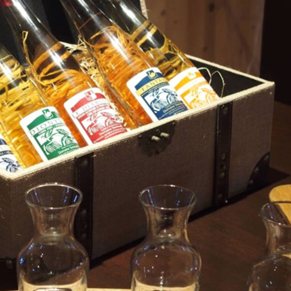 domaine_steinbach___cirdrerie_gite_verger_1
