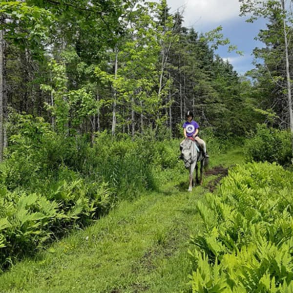 equitation_dawson_1