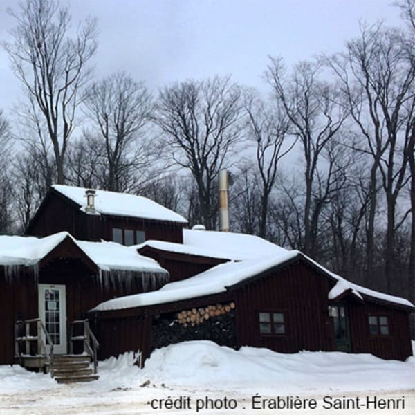 erabliere_saint_henri_1