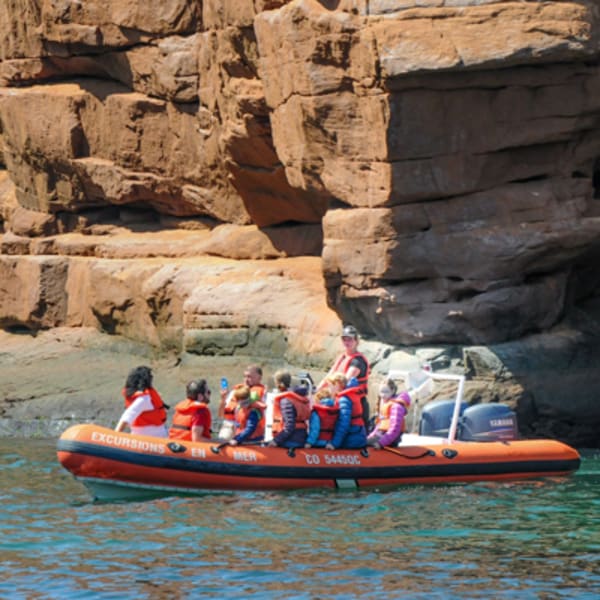 excursions_en_mer_inc_1