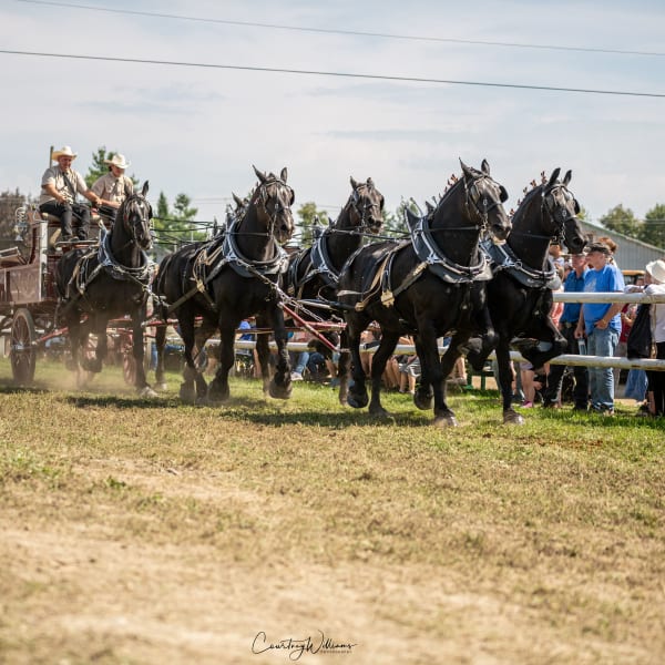 exposition_agricole_de_shawville_1