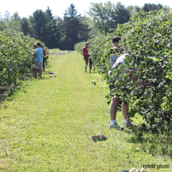 ferme_ethier_les_fruits_soleil_1