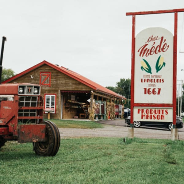 ferme_langlois_et_fils__chez_mede_1