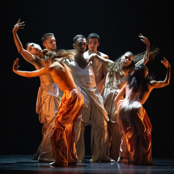 DANSENCORE, The International Dance Festival