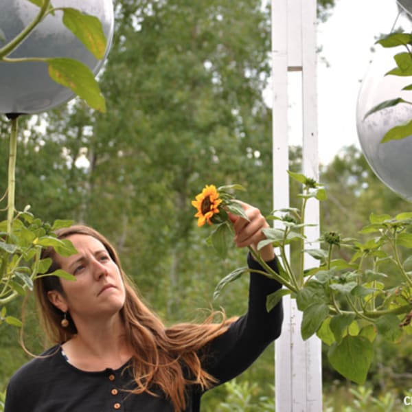 International Garden Festival