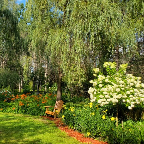 floressens_1