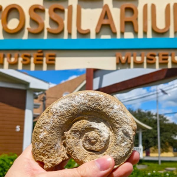 fossilarium_1