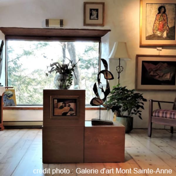 galerie_dart_mont_sainte_anne_1
