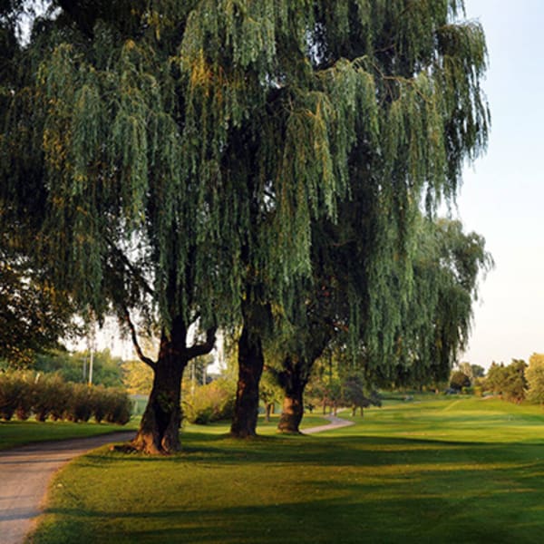 golf_drummondville_1