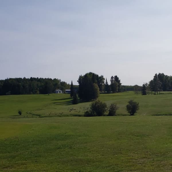 golf_lebel_sur_quevillon_1