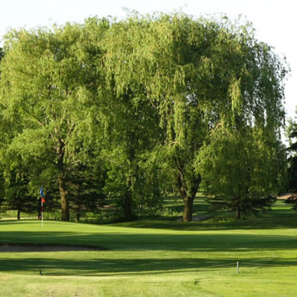 golf_mirabel_1