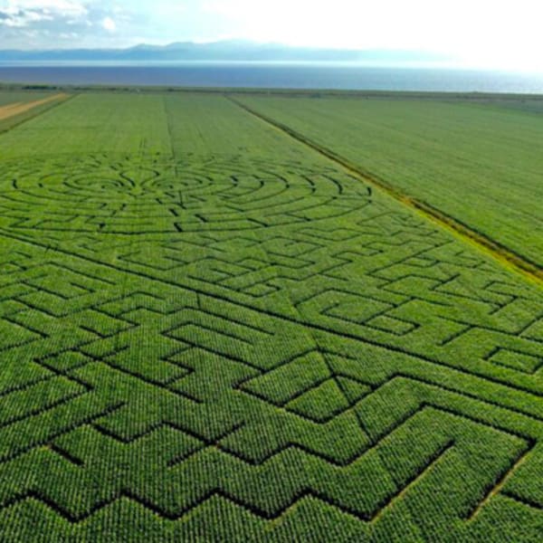 grand_labyrinthe_kamouraska_1
