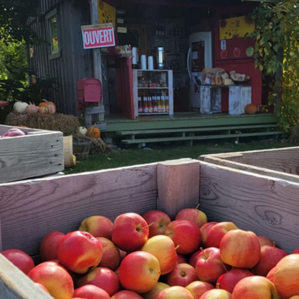 jardins_dautresfois_les_1