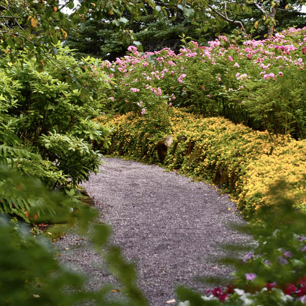 Jardins de Métis/Reford Gardens