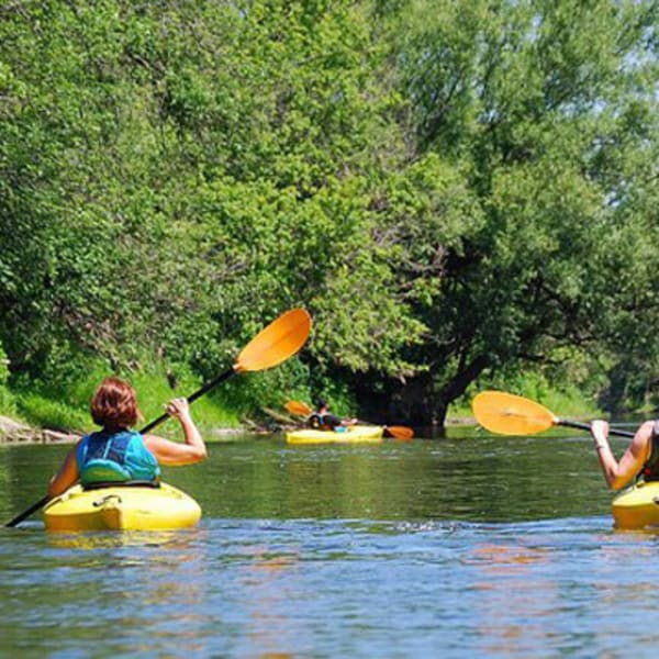 kayak_safari_1