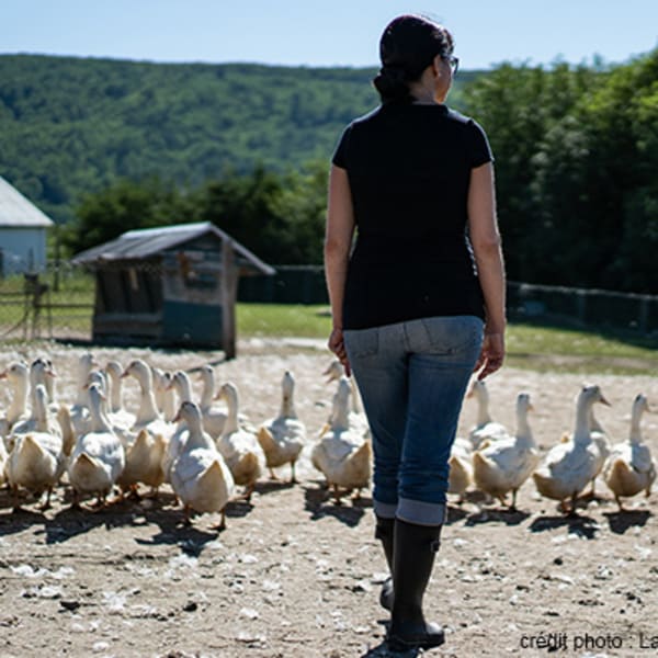 la_ferme_basque_de_charlevoix_1