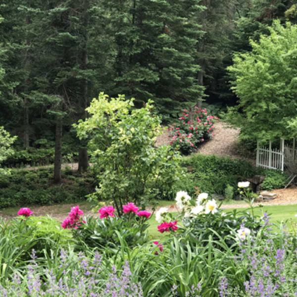 le_jardin_de_francois_1