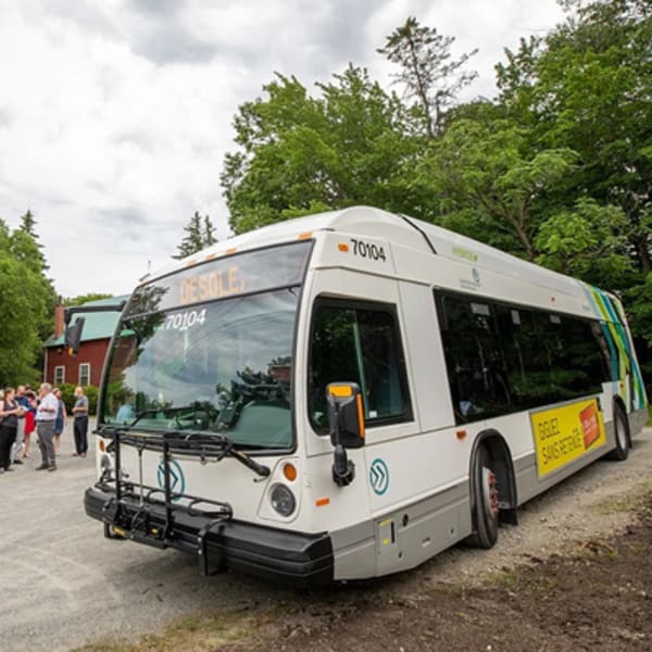le_sherbus_1