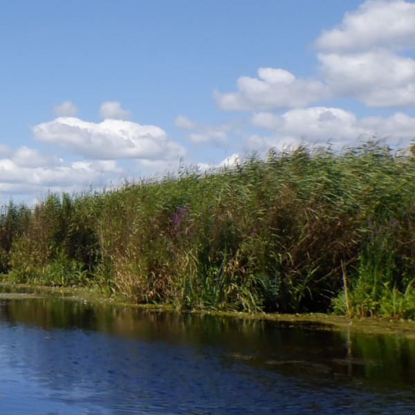 Les Amis de la réserve nationale de la faune du Lac-Saint-François