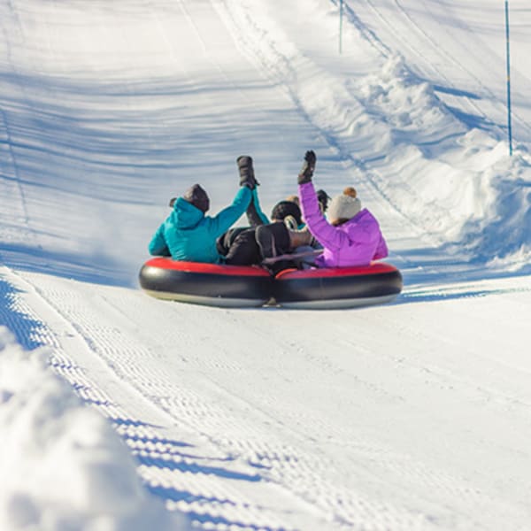 les_glissades_de_tewkesbury_1_h