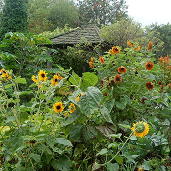 les_jardins_du_grand_portage_1