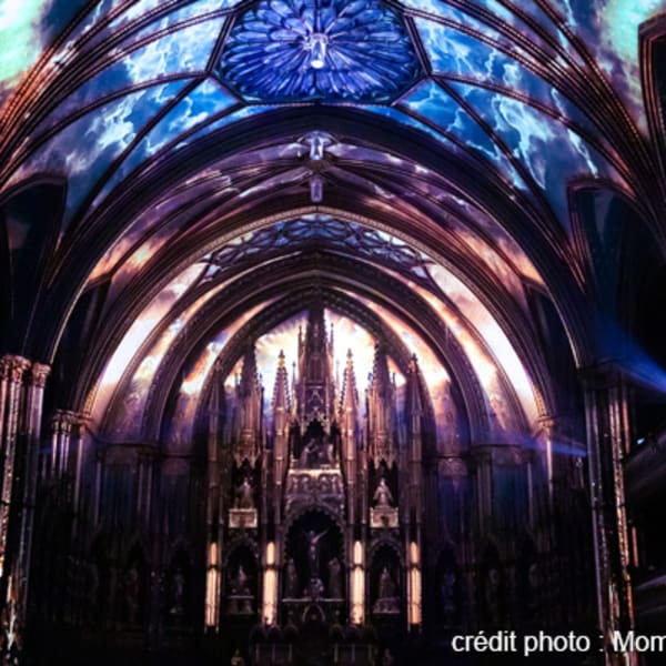 The AURA Experience