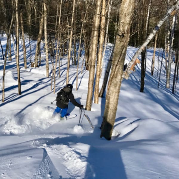 mont_alta_1_h