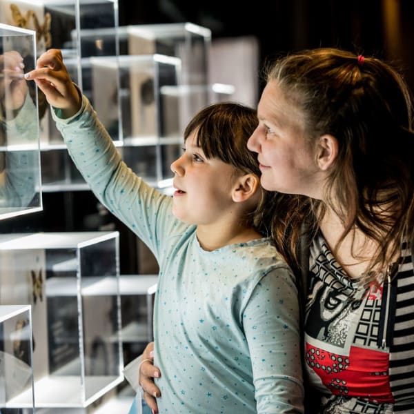 Sherbrooke Museum of Nature and Sciences