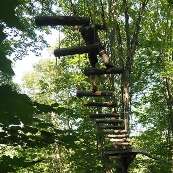parc_de_sentiers_aeriens___foret_de_maitre_corbeau_1