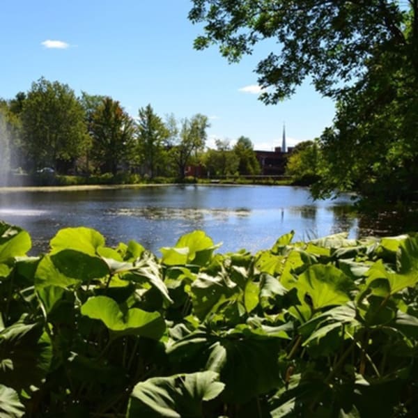 parc_du_domaine_howard_et_jardins_des_serres_municipales_carl_camirand_1