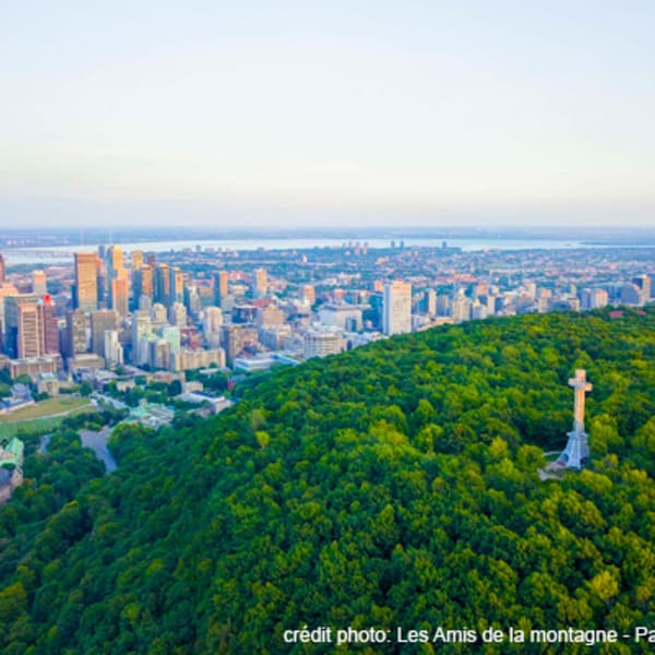 Mount Royal Park