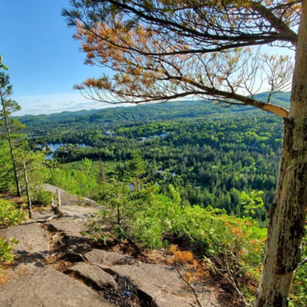 parc_regional_val_david_val_morin_secteur_dufresne_1