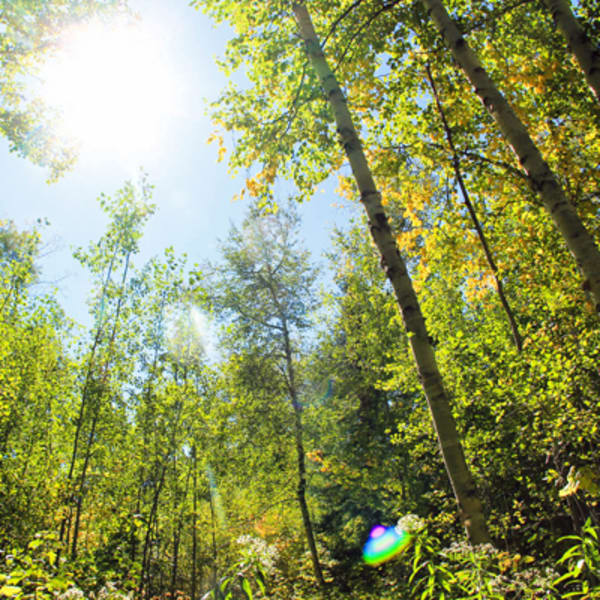 Quebec's Regional Parks