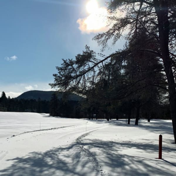 patinoire_du_lac_moore_1
