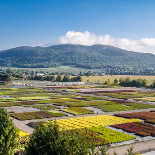 pepiniere_abbotsford_1