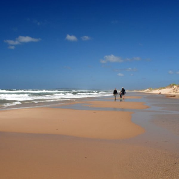 plage_de_la_dune_de_louest_1
