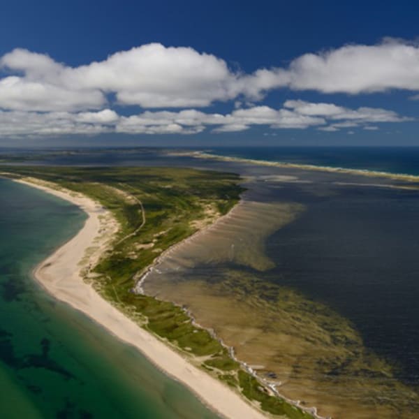 plage_de_la_dune_du_sud_cormorandiere_1