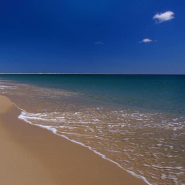 plage_de_la_grande_echouerie_1