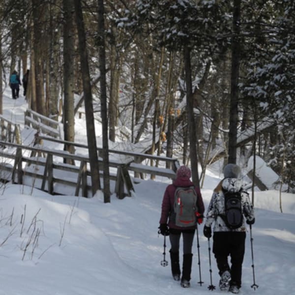 promenade_jacques_cartier_1_h