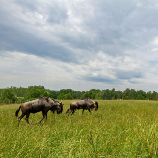 ranch_dupont_1
