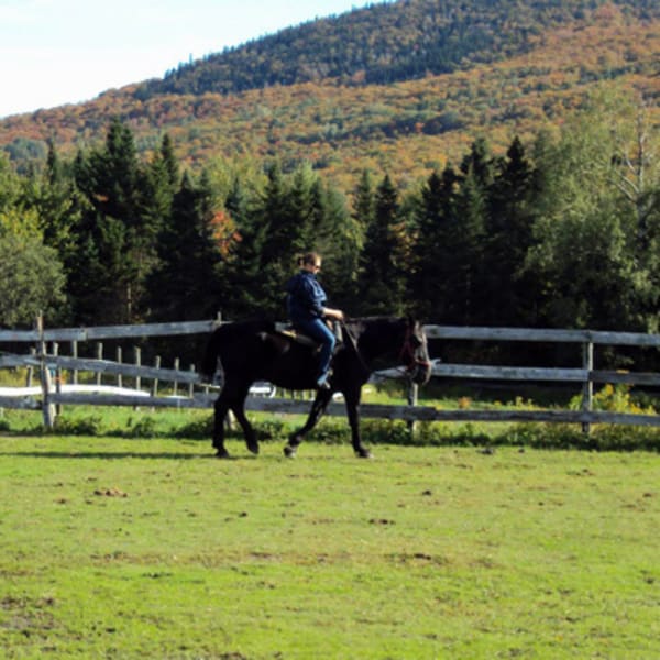 ranch_massif_du_sud_1