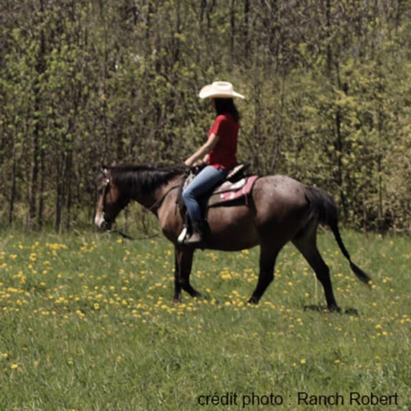 ranch_robert_1