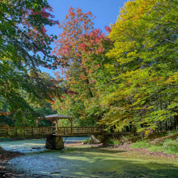randonnees_en_plein_air_dans_le_region_de_nicolet_yamaska_1