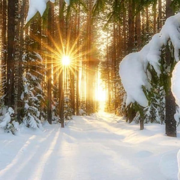 relaxation_et_nature_cet_hiver_en_petite_nation_1_h