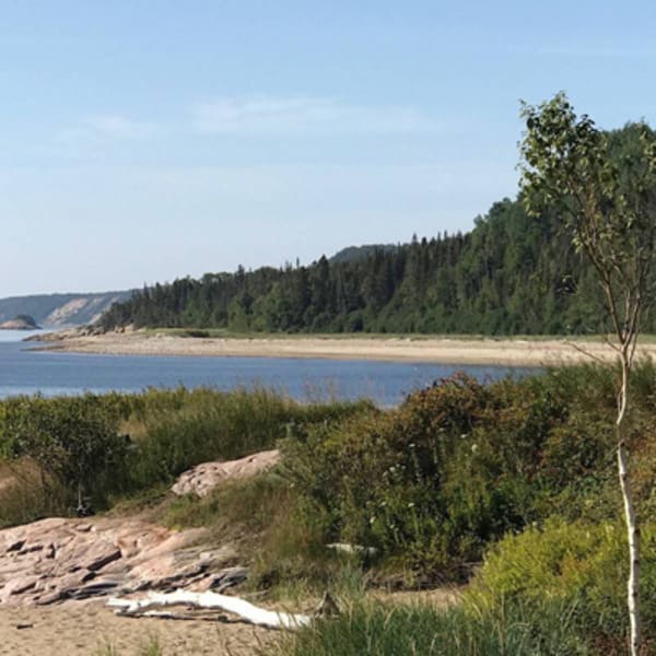 reseau_de_sentiers_multi_usages_de_la_baie_verte_1