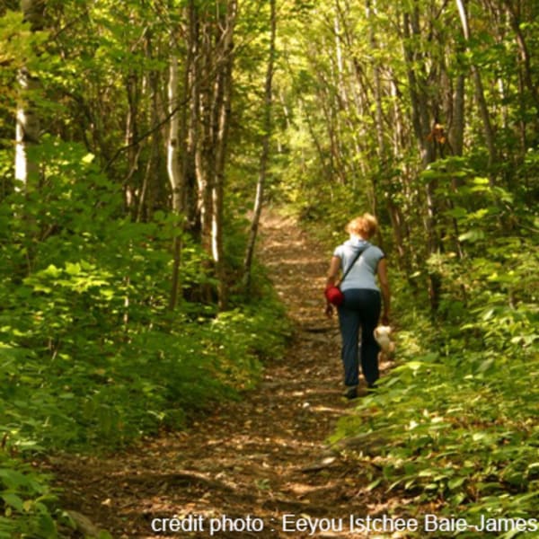 sentier_du_lac_imbeau_1