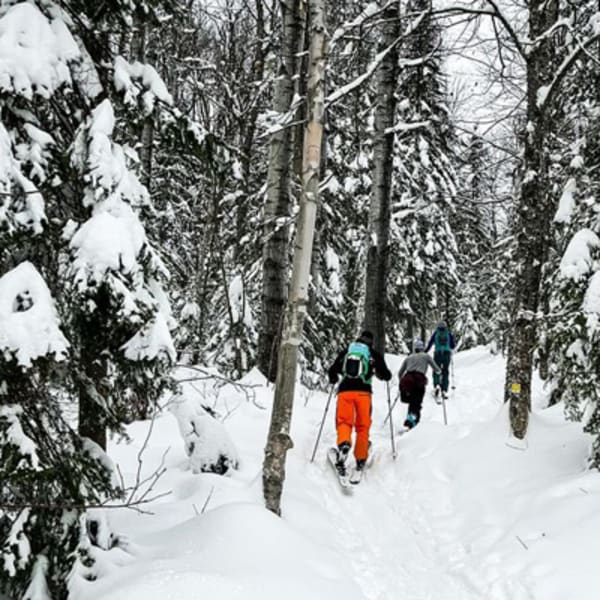 Ski de fond au Mont Grand-Fonds