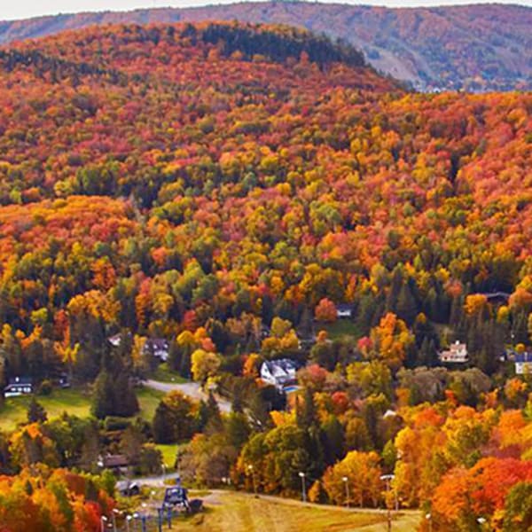Sommet Saint-Sauveur fall foliage