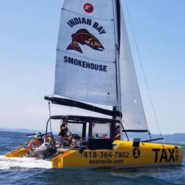 taxsea_1
